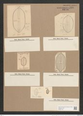Navicula lyra var. dilatata A.Schum. (de-Toni-Nr.: Genus 1, Species 327) Zeichnungen Sammlung Grunow Nr. 740 (NHMW-BOT-W0367129)